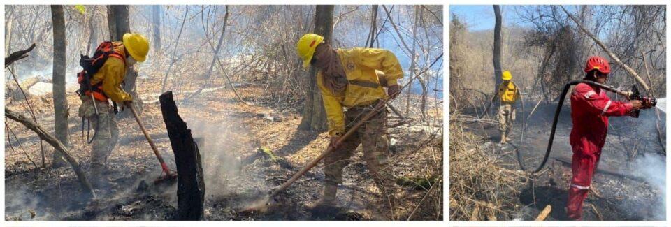 Gracias a control de incendios no se registró ninguno en Santa Cruz y en Coroico se sofocan
