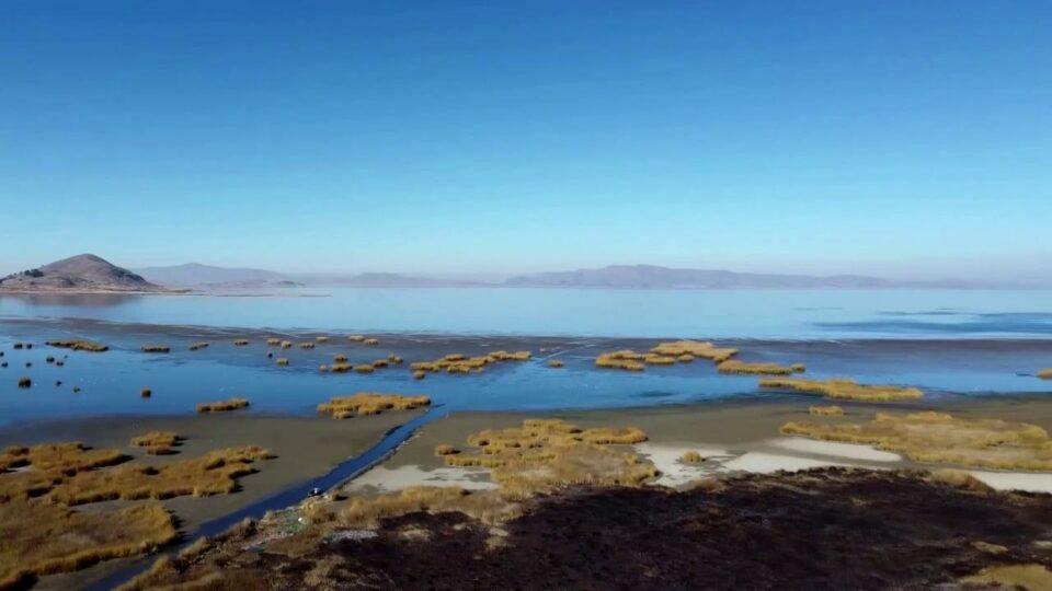 Lagos secos, presas vacías, animales que agonizan: así afecta la sequía al mundo