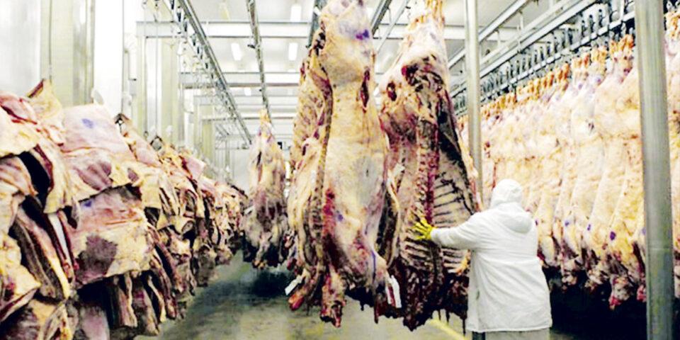 26 mil toneladas de carne bovina serán exportadas este año