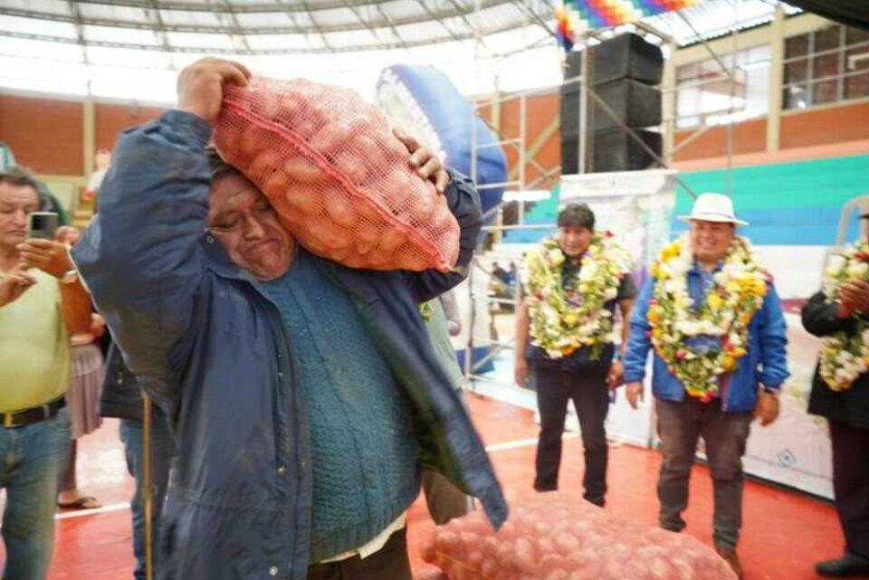 Cochabamba: 10 municipios entregan semilla de papa e insumos a más de 2 mil familias productoras