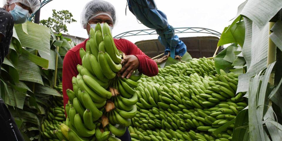 Los productores bananeros levantan bloqueo en el puente a Argentina