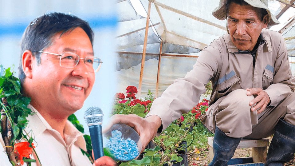 En 3 años de gestión, el Gobierno de Arce comienza a ver los primeros avances de la industrialización