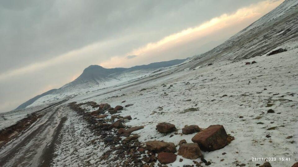 Intensa granizada causa la muerte de animales en Chuquisaca