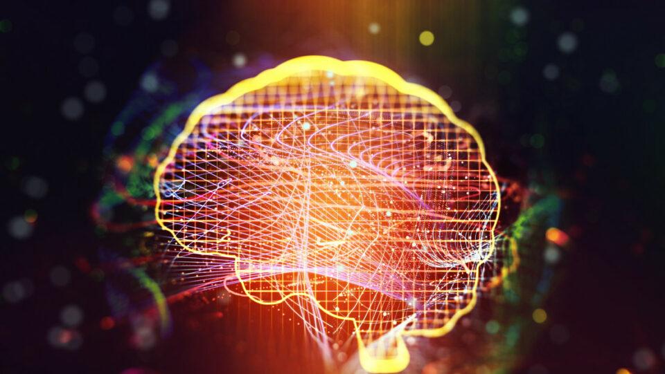 Estudio desafía la hipótesis de que el cerebro humano puede 'reconectarse' tras una lesión