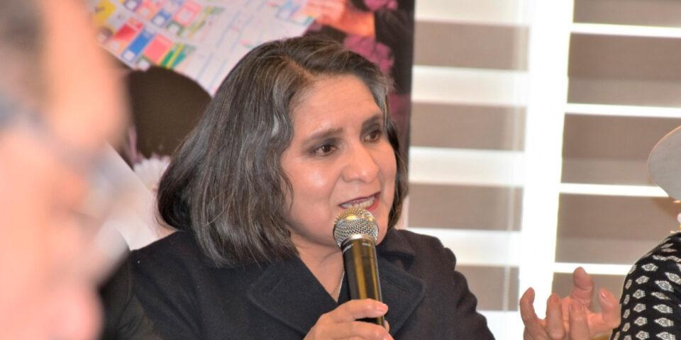 Vocales proponen ley para que elecciones primarias se realicen con mínimo dos binomios