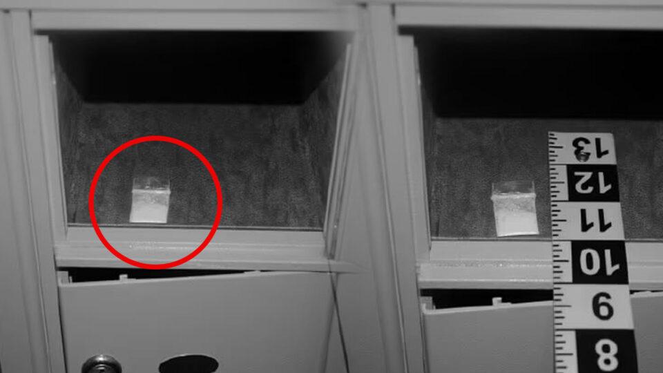 Publican las primeras fotos de la cocaína encontrada en la Casa Blanca