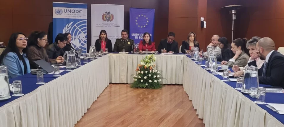 Bolivia registró 46.433 casos de violencia de género