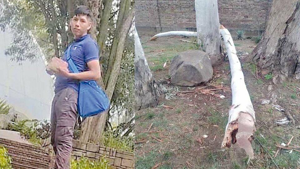 Estudiante que perdió la vida al caerle una rama es llevado a Yungas