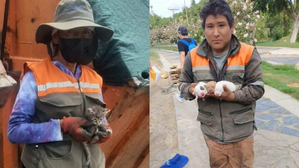 Alarmante: Ecorrecolectoras de Cochabamba denuncian cuatro abandonos de mascotas en enero