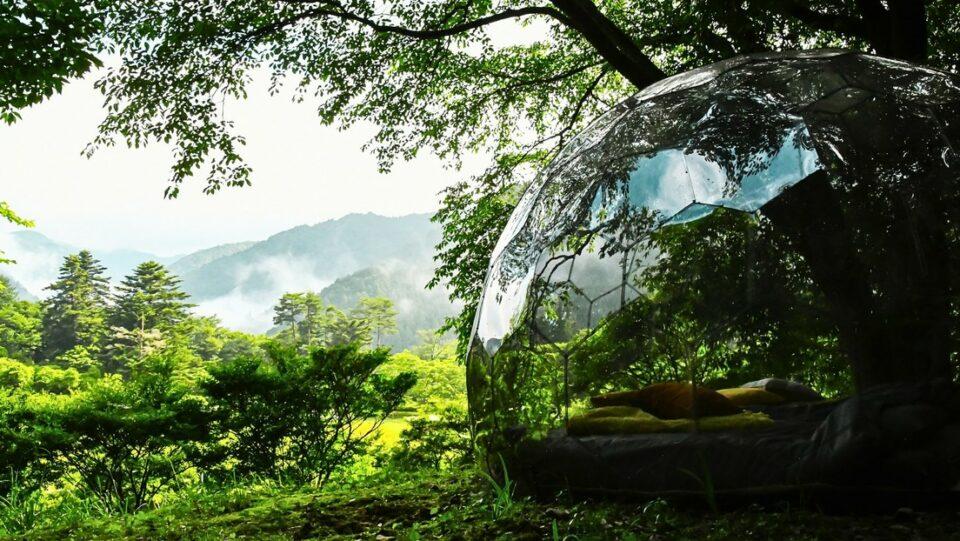 Cápsulas-cabañas una nueva forma de acampar y pasar desapercibido desde el exterior