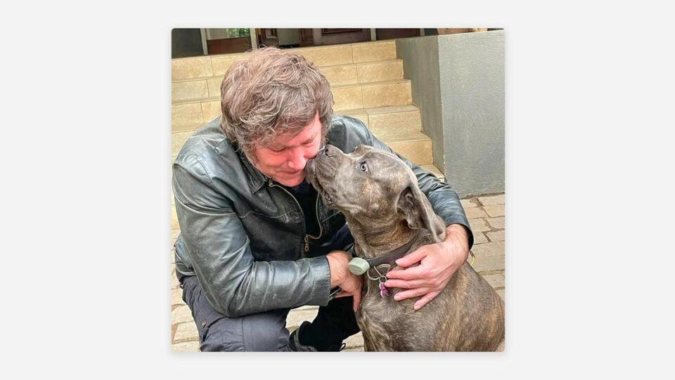 Ley Conan: Nueva iniciativa en Argentina contra el maltrato animal