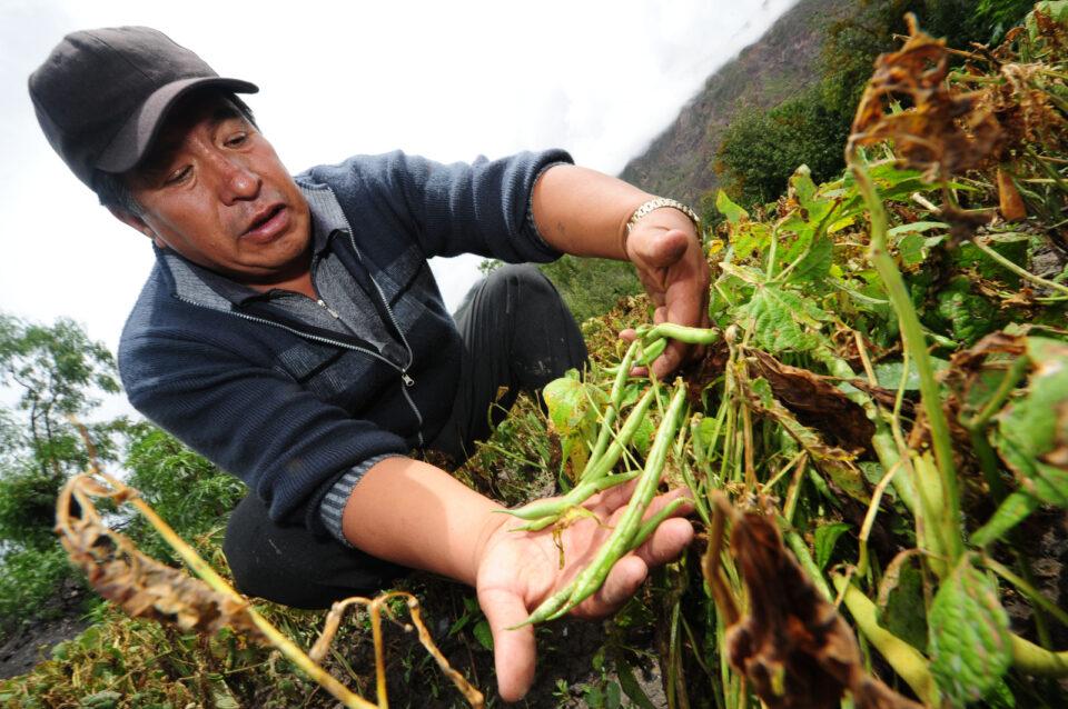 Bolivia usará drones para tener información rápida de los cultivos afectados por eventos climáticos