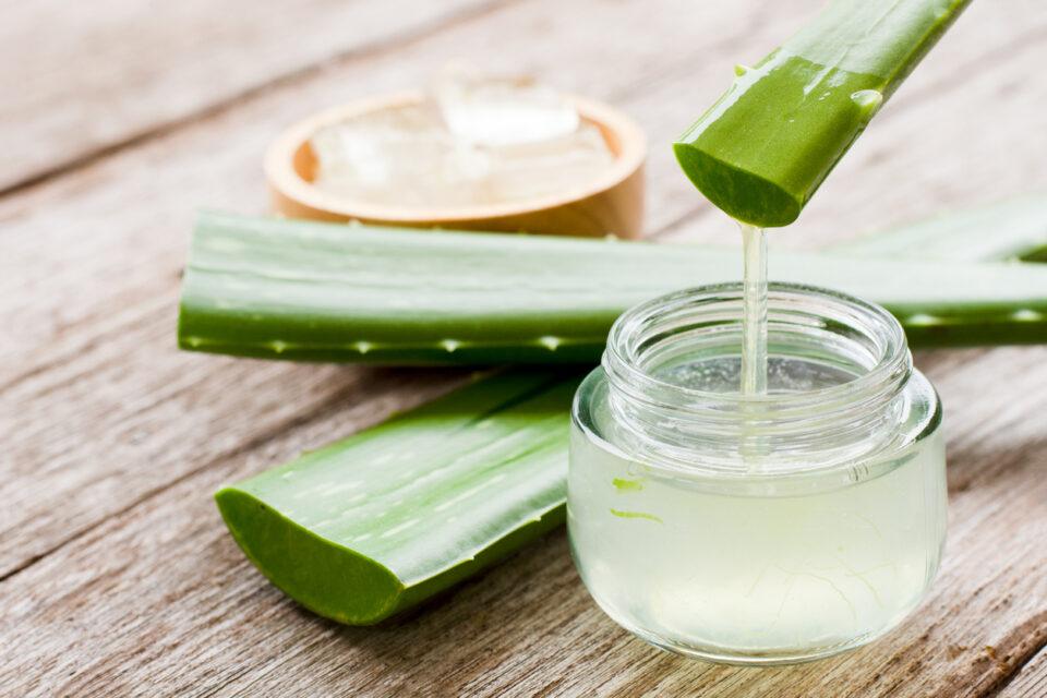 Conozca los beneficios del aloe vera para la salud de la piel y el cabello