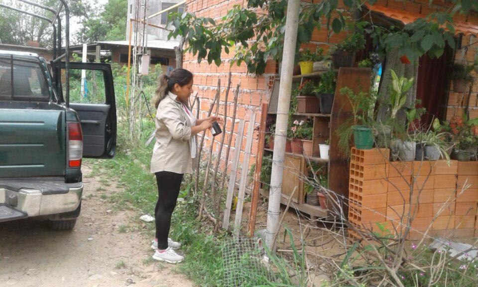 Salud realiza la vigilancia de los mosquitos transmisores del dengue en cuatro municipios del país