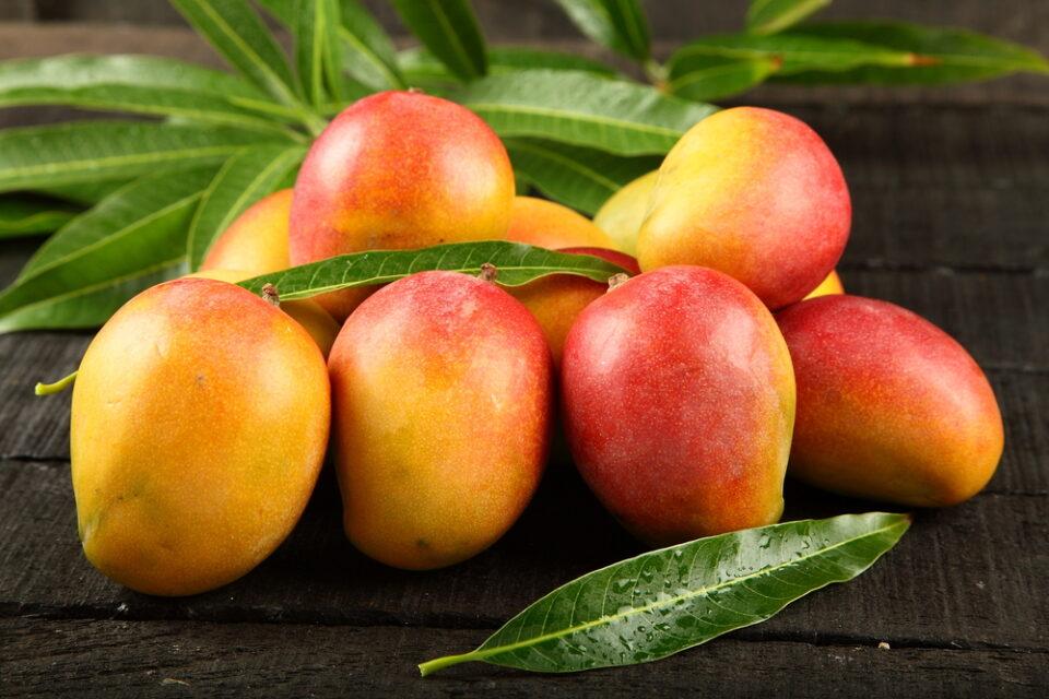 ¿Qué beneficios trae el mango para la salud?