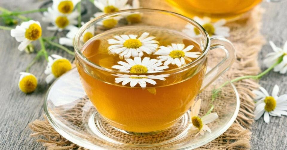Conozca todos los beneficios de la manzanilla