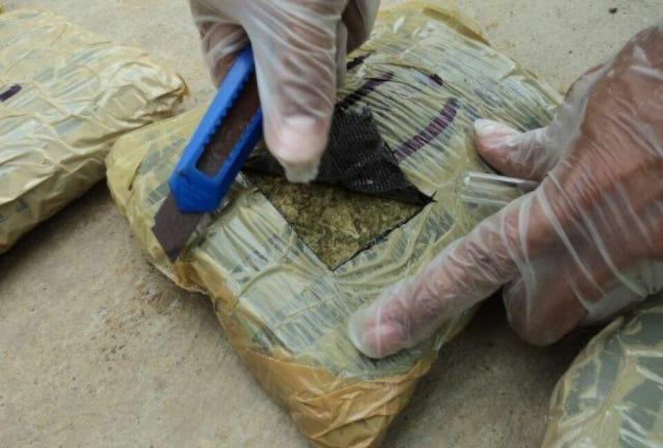 Tarija: Tres sujetos que transportaban más De 47 kilos De marihuana son sentenciados a 20 años de prisión