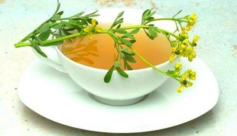 ¿Cuáles son los beneficios de la infusión de ruda?