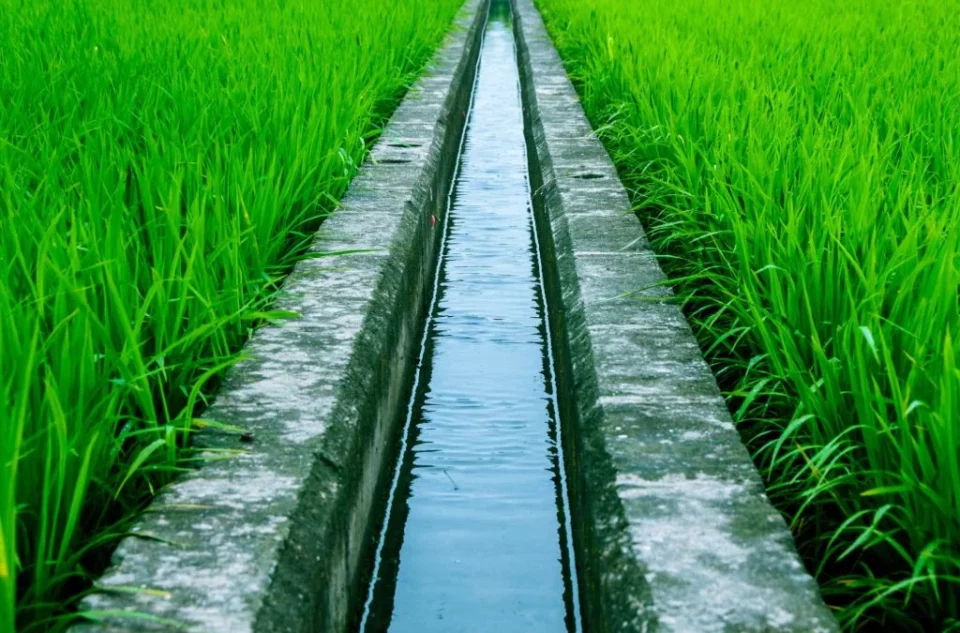 El Proyecto de Agua Potable y Riego está retrasado debido a demandas y compensaciones económicas