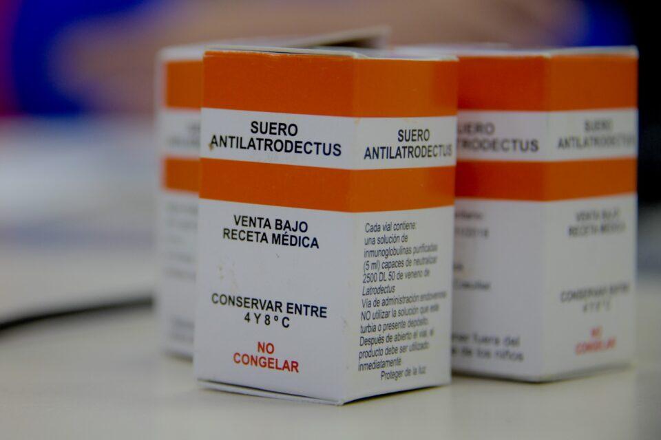 El Ministerio de Salud garantiza la vacuna antirrábica y antídoto contra la picadura de la araña viuda negra