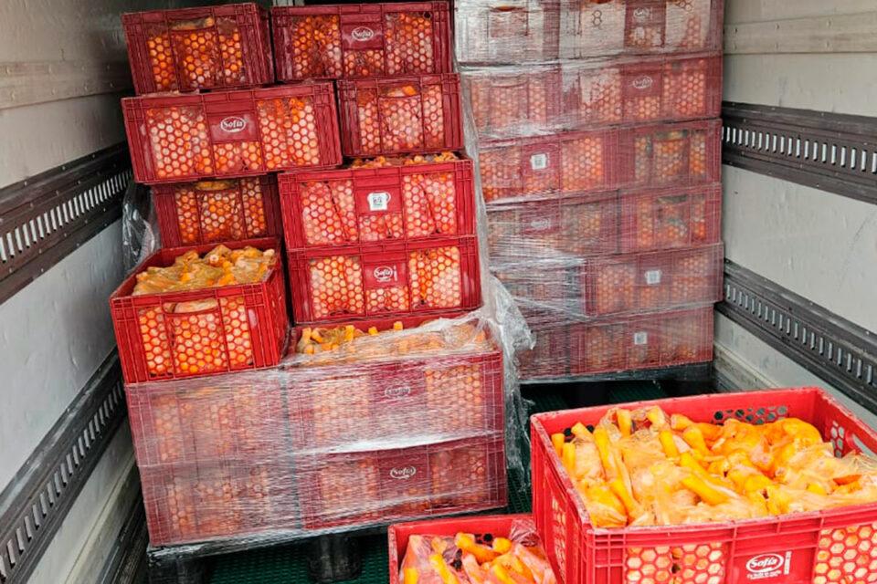 60.000 pollos fueron distribuidos por el gobierno a las ciudades de La Paz y El Alto