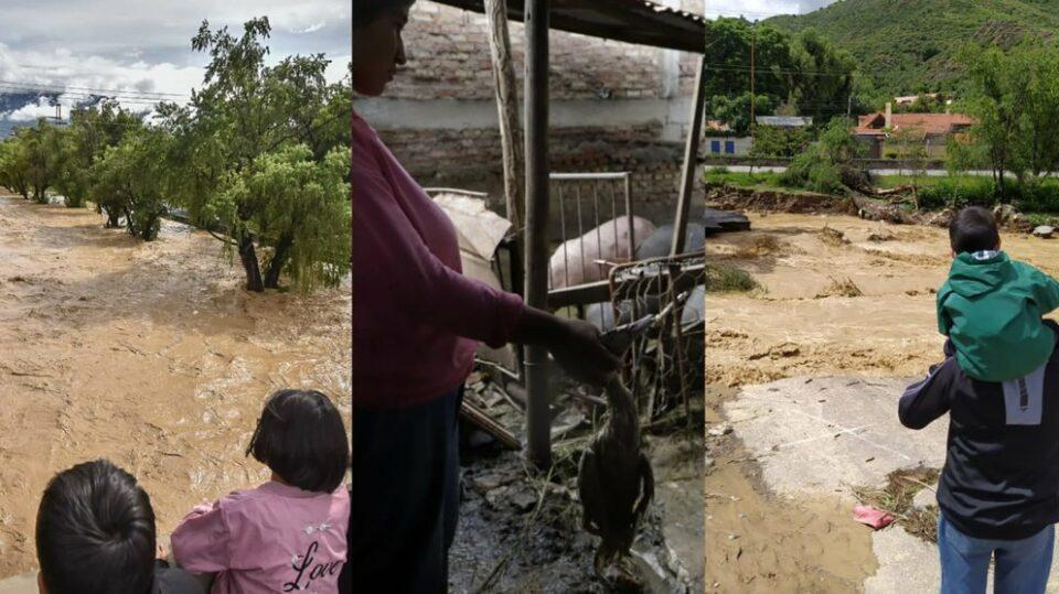 Tormentas devastadoras azotan 5 municipios de la región de Cochabamba; La Paz bajo estado de 'emergencia' y 'alerta roja'