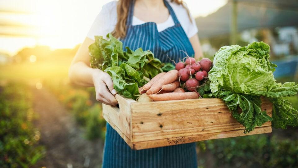 Los habitantes de las ciudades digieren peor los alimentos de origen vegetal