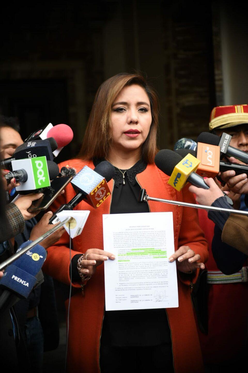 El Gobierno pide a la Cámara de Senadores aprobar los proyectos de ley