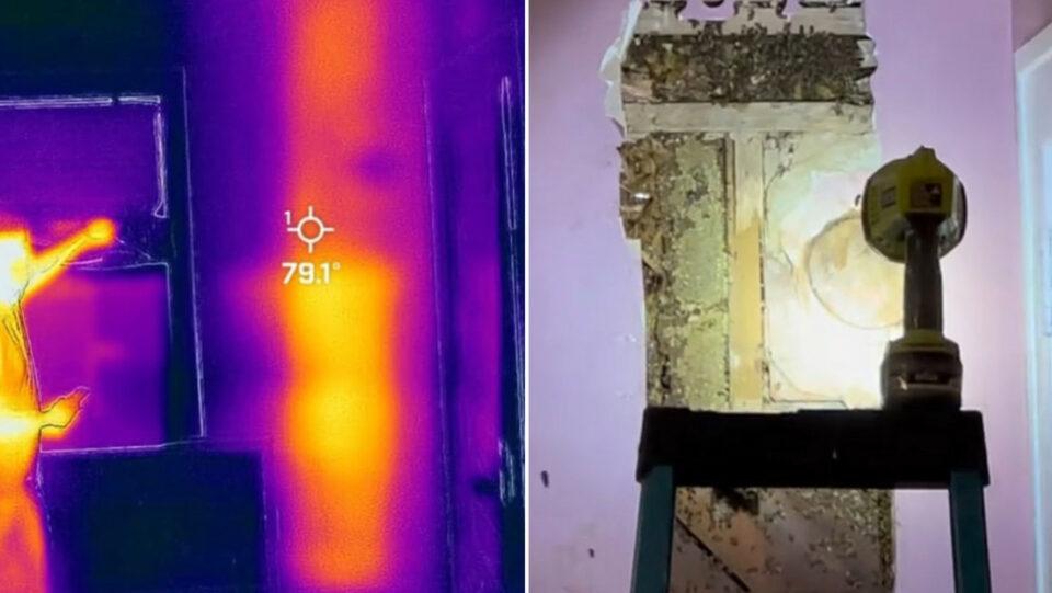 Niña de 3 años advierte a sus padres de 'monstruos' en su alcoba y esto encontraron