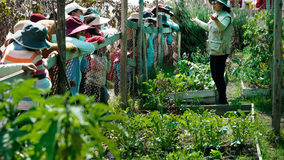 Lak’a Uta "casa de tierra" el primer huerto urbano en el centro de la ciudad