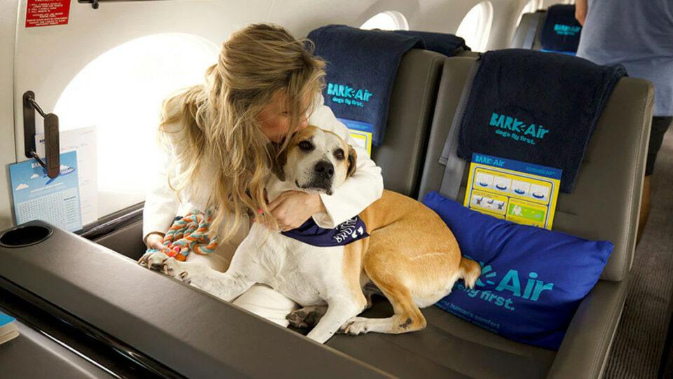 Lanzan una nueva aerolínea de lujo para perros 