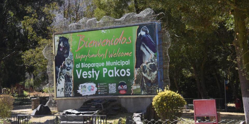 En 2023, un poco más de medio centenar de animales fallecieron en el bioparque Vesty Pakos, según el informe final presentado por la administración del sitio. Además se da cuenta de que otros 11 animales, entre ellos un cóndor, están aislados por no tener un espacio “apropiado”.