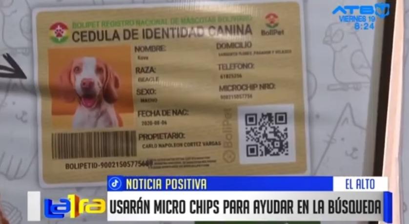 Bolipet ofrece cédula de identidad y microchip para mascotas
