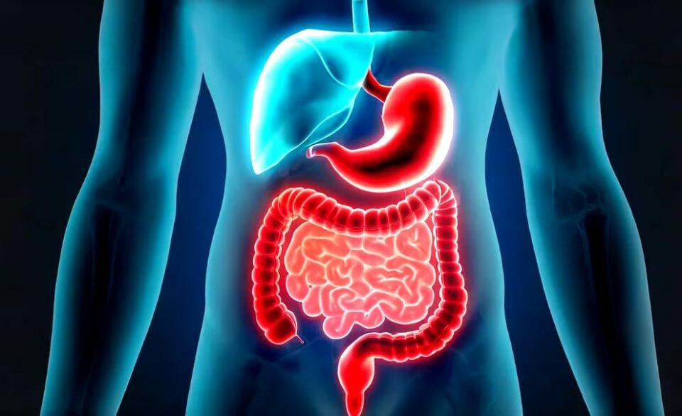Enfermedad de Crohn y la colitis ulcerosa: qué son y cuáles son los últimos avances para tratarlas