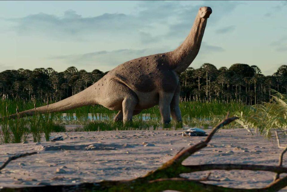 Un titanosaurio “enano” de la Patagonia revela pistas sobre el final de los dinosaurios