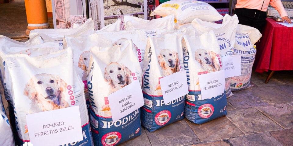 Lotería entrega alimentos a albergues de mascotas en situación de abandono en Sucre