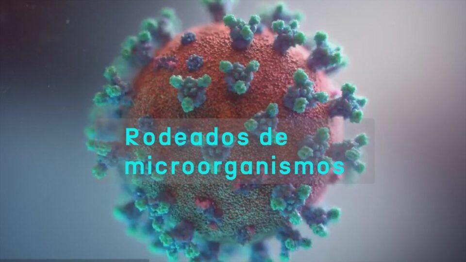 Virus, bacterias... vivimos rodeados de microorganismos