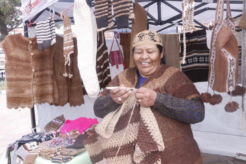 Invitan a las ferias de productos y subproductos de camélidos en El Alto, Oruro y Potosí