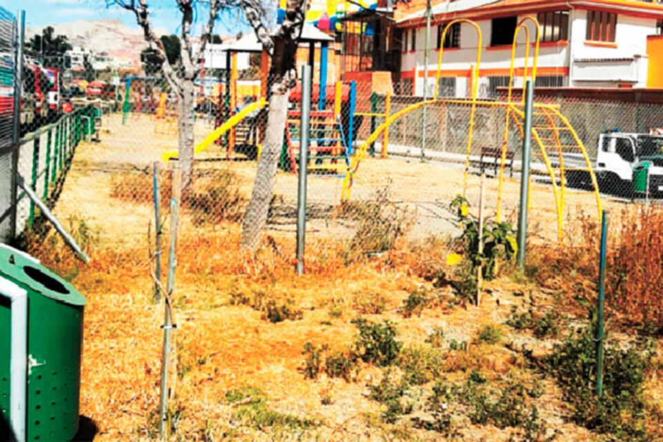 Calles de La Paz: Basura, maleza y heces acumuladas