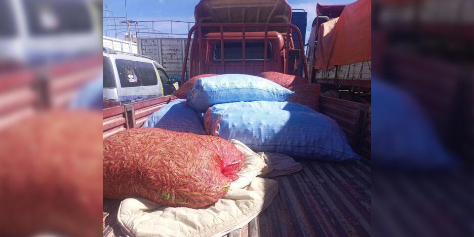 Se incautan dos camionetas cargadas de zanahorias, arveja y manzana rumbo a Argentina