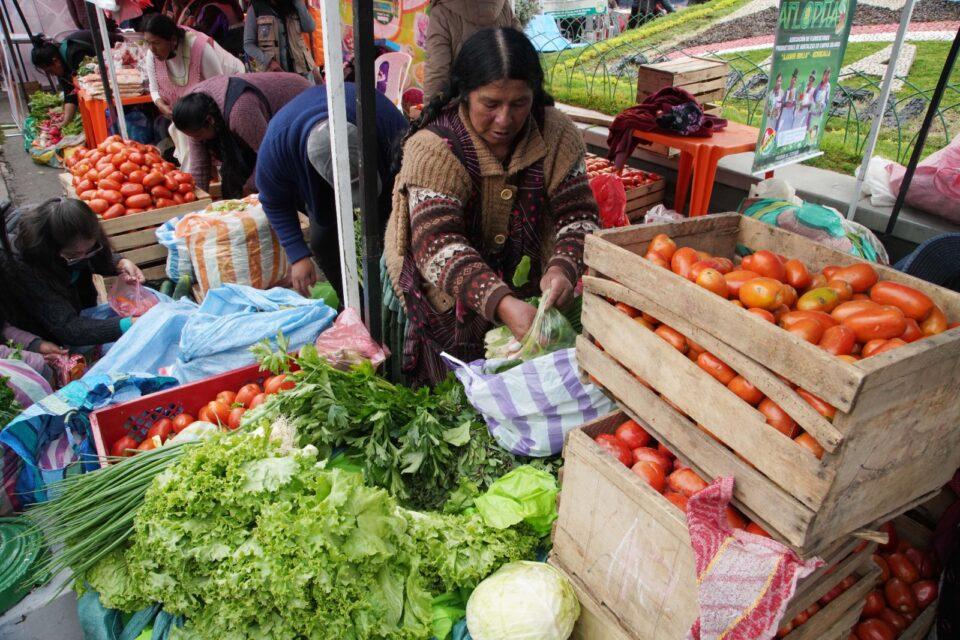 Gobierno intensifica cinco estrategias para frenar los efectos de la inflación importada