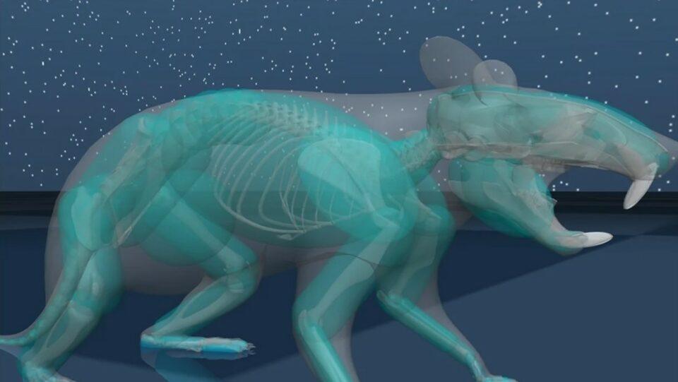 Esta sorprendente rata virtual de IA está controlada por un 'cerebro' artificial
