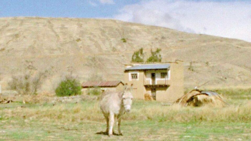 Filme de cineasta boliviana se proyectará en el Festival de Locarno