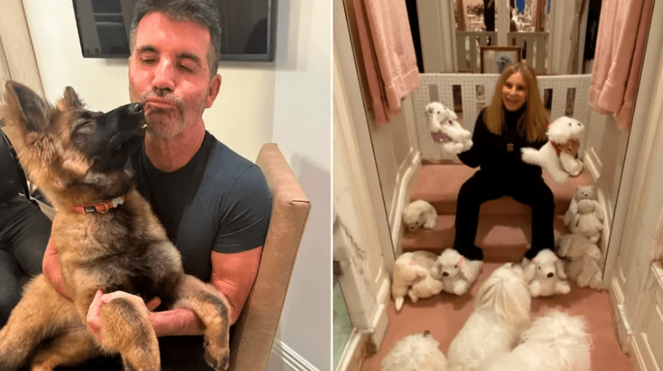 Las dos celebridades que clonaron a sus mascotas