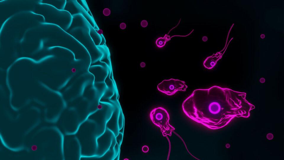 Un niño, en estado crítico tras infectarse con una ameba 'comecerebros' en Israel