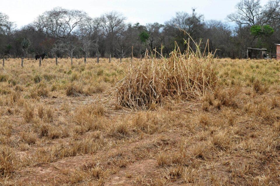 Registran seis departamentos con sequía en todo el país