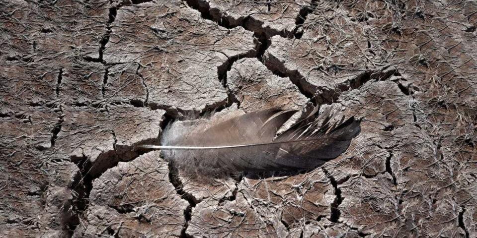 Muestra fotográfica “La sed verdadera” propone sensibilizar sobre la cruda realidad de la crisis del agua