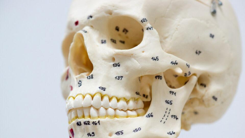 Acusan a criminales chinos de robar miles de cadáveres para injertos dentales