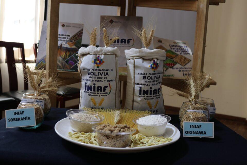 En Bolivia liberan 17 variedades de trigo altamente productivas