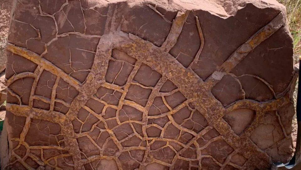 Nuevo estudio revela que eventos climáticos extremos como el niño pueden haber contribuido a la extinción del pérmico-triásico